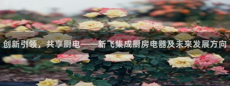 cq9电子谁开发的