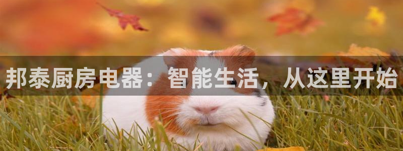 CQ9游戏电子视讯