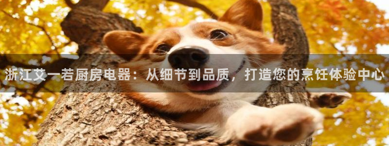cq9电子游戏囍