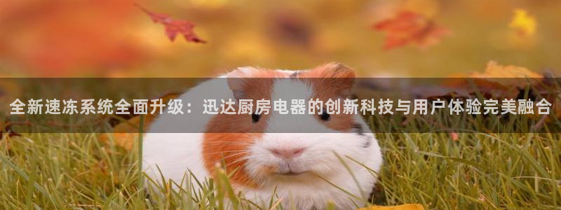 玩电子cq9