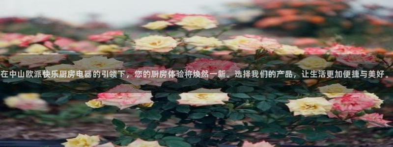 cq9电子舞满分大奖
