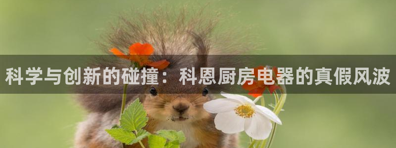 CQ9电子平台APP