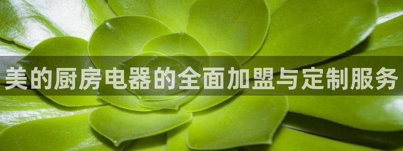 下载cq9电子777
