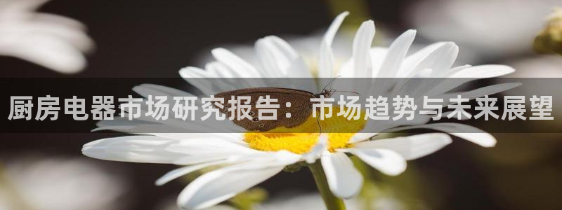cq9传奇电子维护公告
