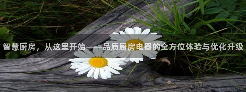 哪里可以看cq9电子