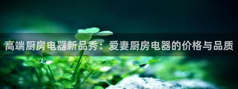 电子变脸游戏cq9
