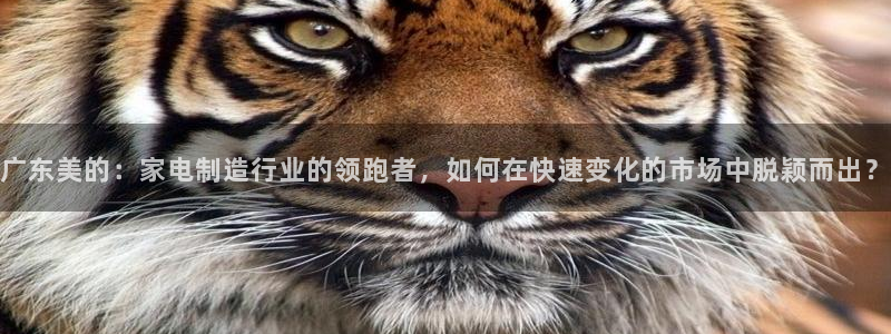 试玩cq9电子跳高高