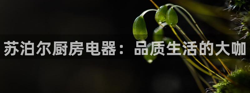 cq9电子官方网址