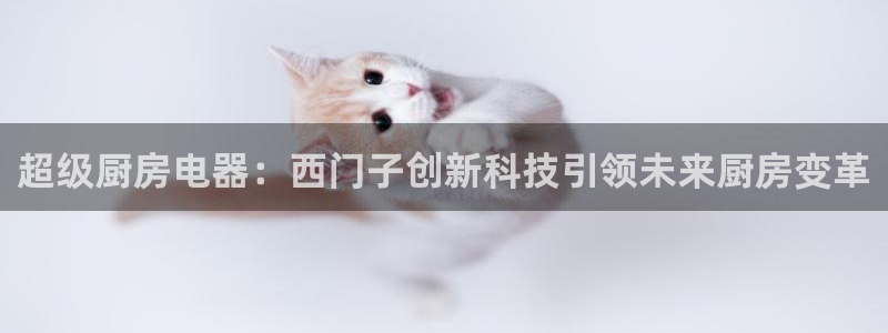 电子cq9网站