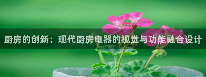cq9电子海王