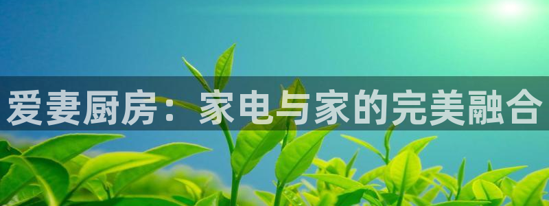 cq9电子彩票