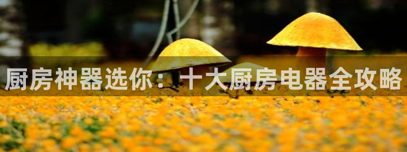 cq9电子榜爆分