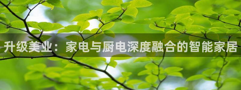 CQ9电子反水2.0