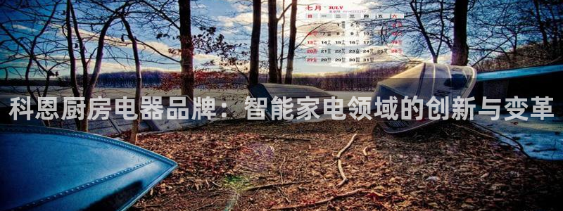 cq9电子雷神视频