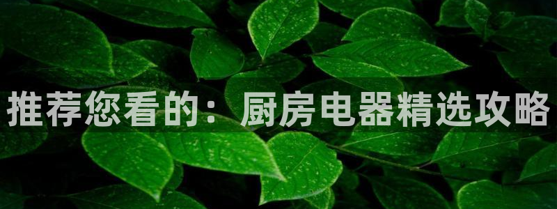 cq9电子中午技巧玩法