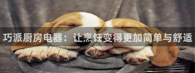 cq9电子那个平台好
