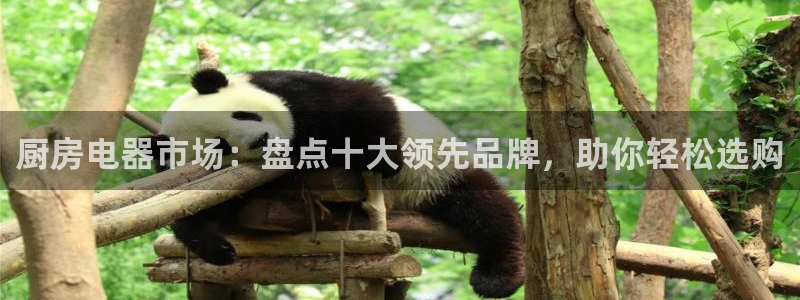 cq9电子官网平台