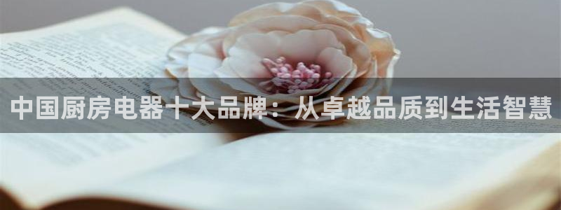 cq9电子蹦迪