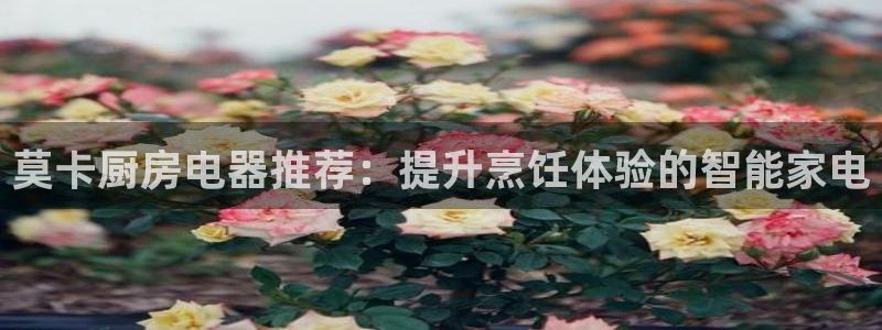 cq9传奇电子攻略