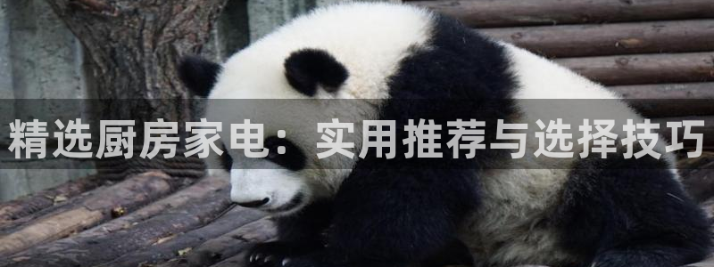 cq9电子雷神大奖