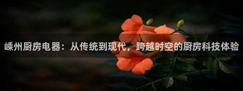 官方cq9电子
