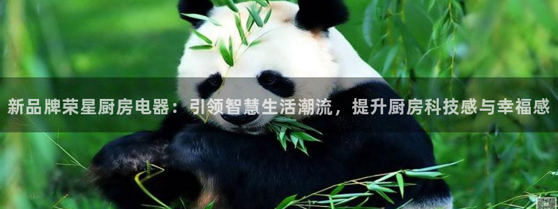 cq9电子游戏官方