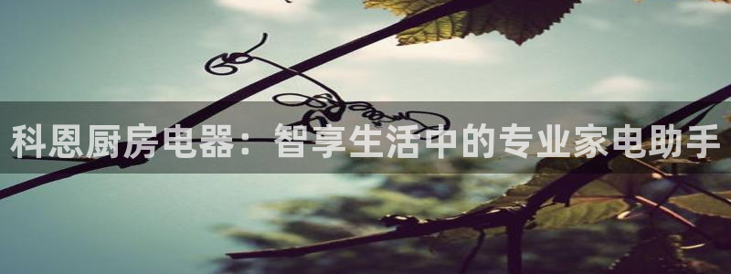 cq9电子赌城之夜
