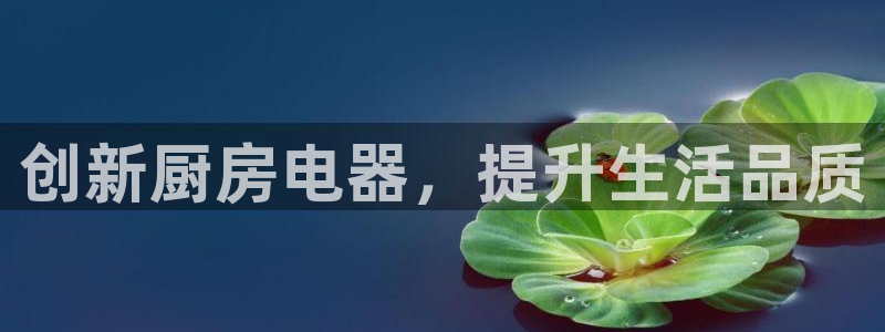 cq9电子森林舞会