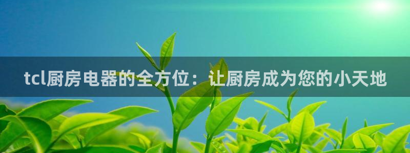 电子游戏cQ9