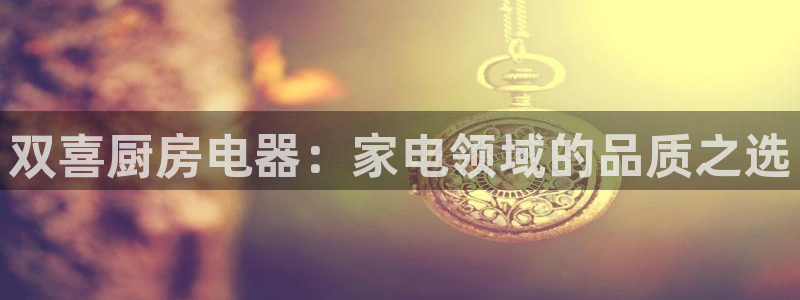 cq9电子打水软件