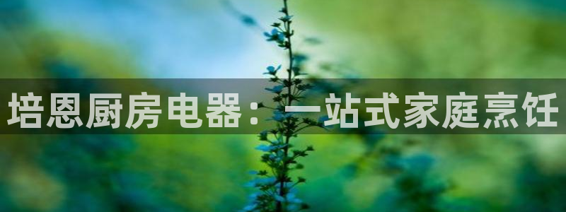 cq9电子免费版