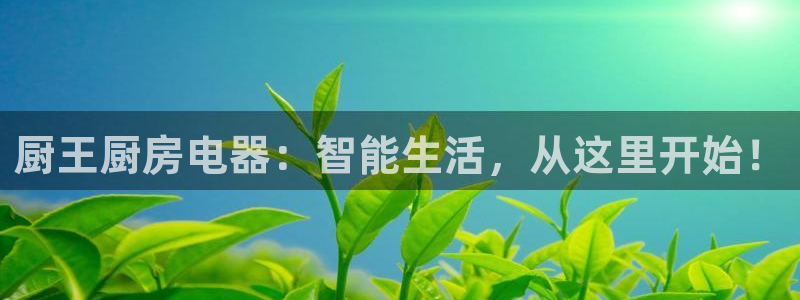 CQ9电子破解