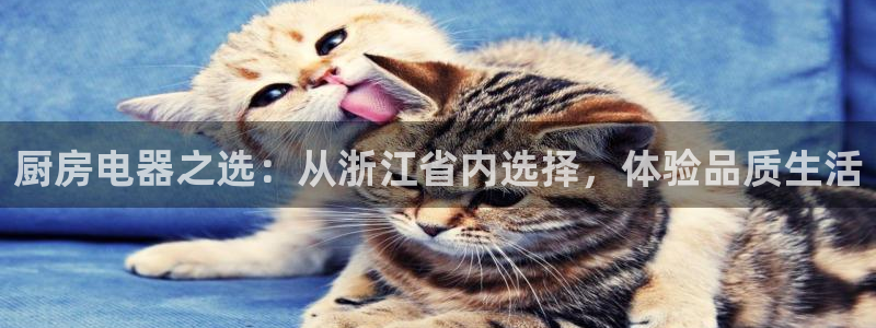 cq9电子大奖视频