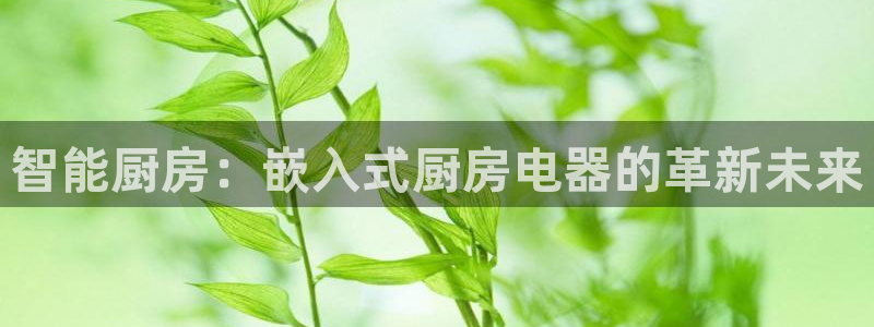 电子cq9狼月
