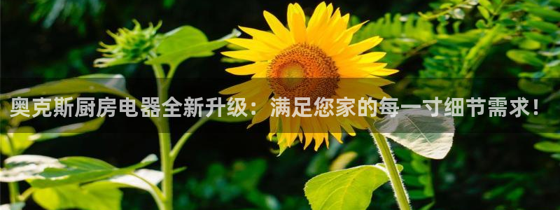 CQ9电子传奇电子