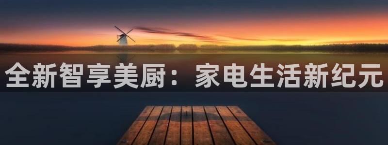 vns电子cq9