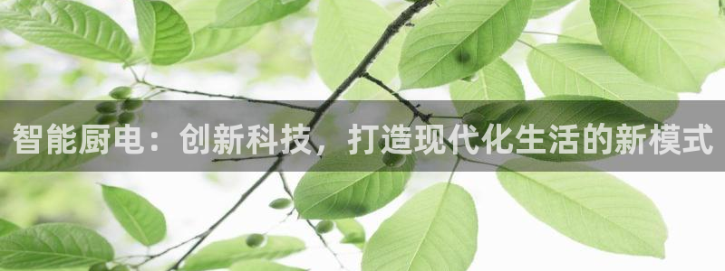 cq9电子外挂