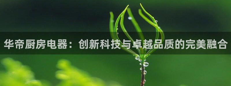 cq9电子榜爆分