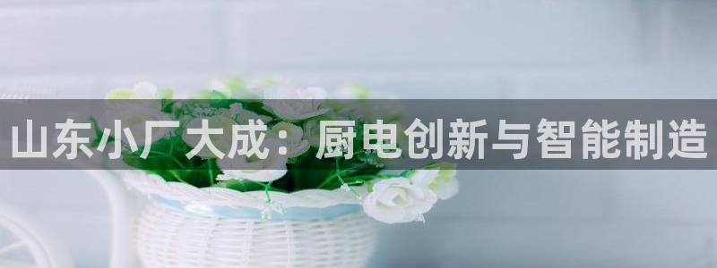 cq9电子官网app