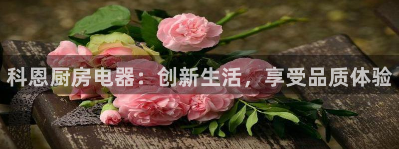 cq9电子辅助器