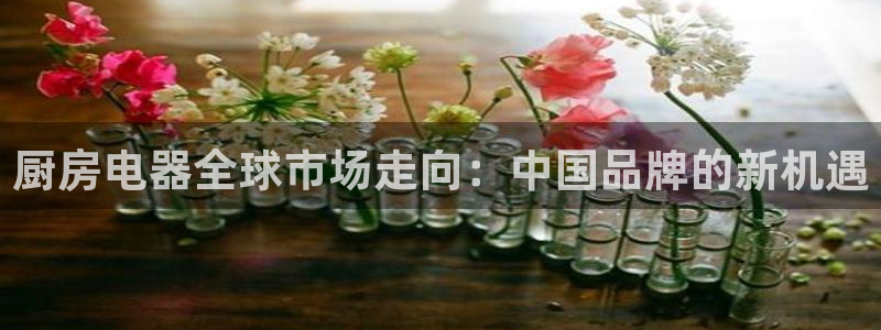 cq9电子在线玩