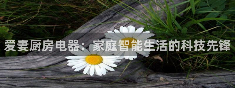 cq9电子单机游戏