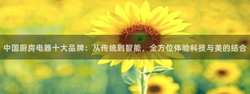 cq9电子传奇火凤凰