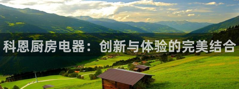 电子cq9金鲨银鲨