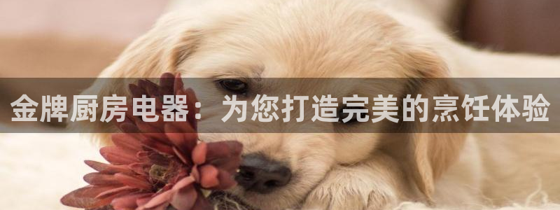 cq9电子负责人