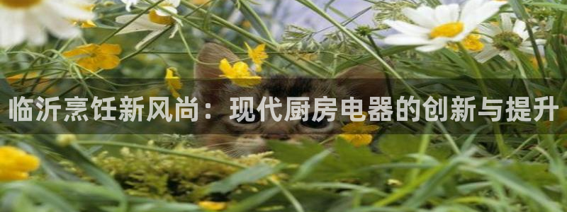 cq9电子黑豹