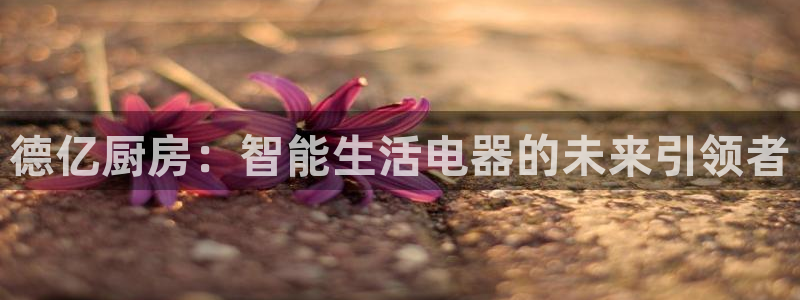 cq9电子冰球