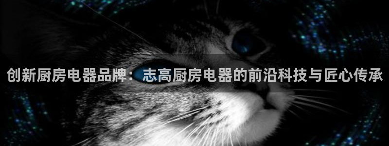 CQ9传奇电子在线