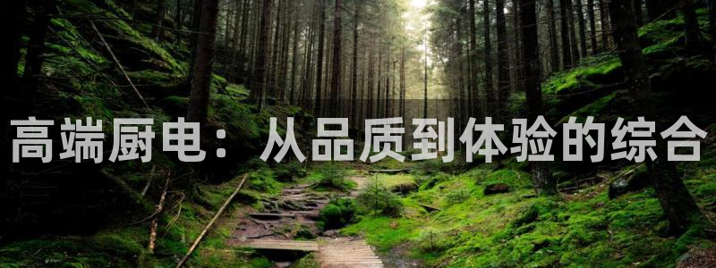 cq9电子怎样快速回本