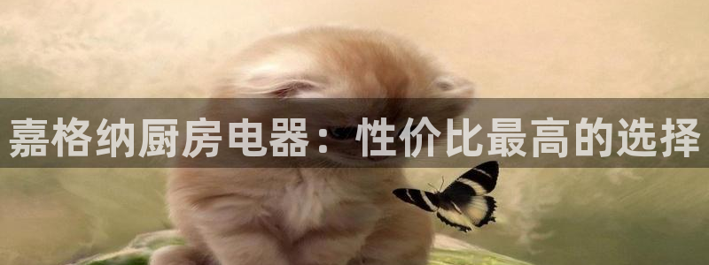 cq9电子辅助功能